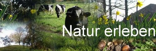 Natur erleben